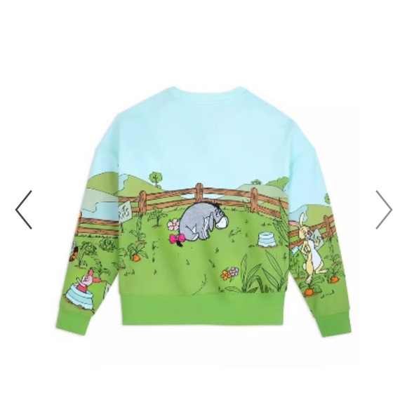 NEW Disney Winnie The Pooh Embroidered Pullover Sweatshirt - Picture 4 of 9